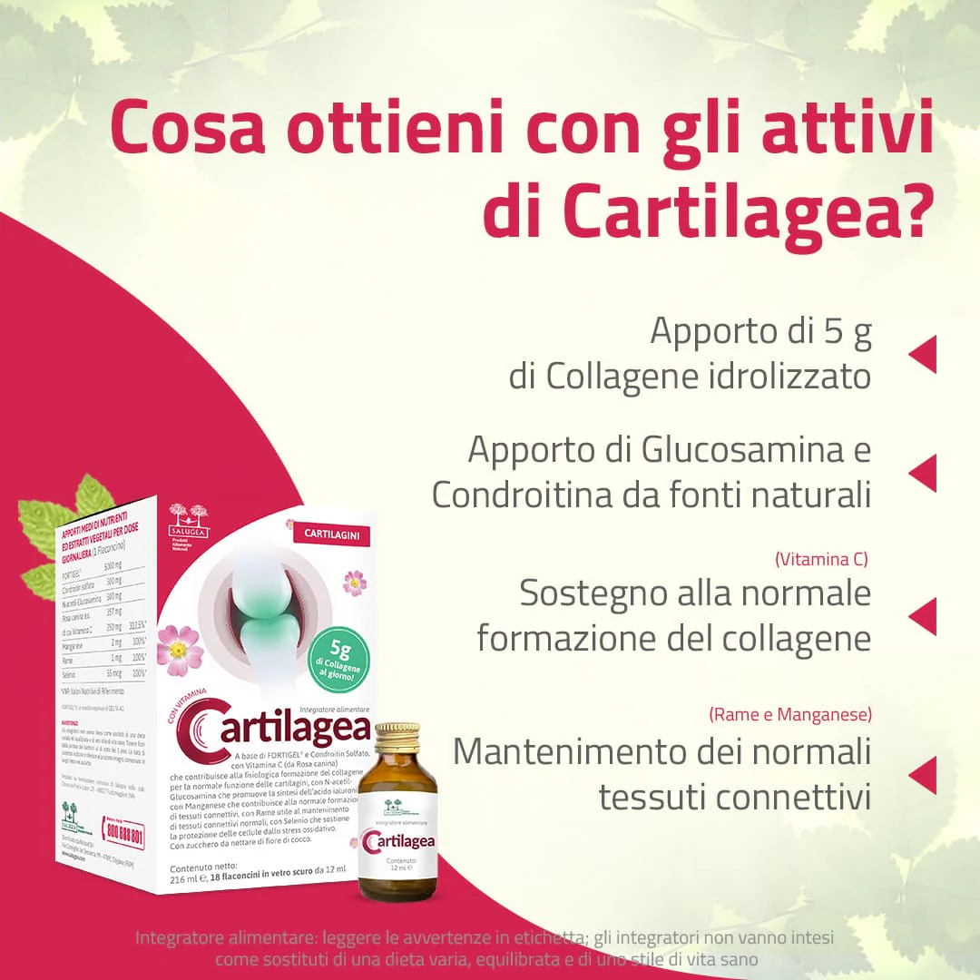 Cartilagea - Image 3