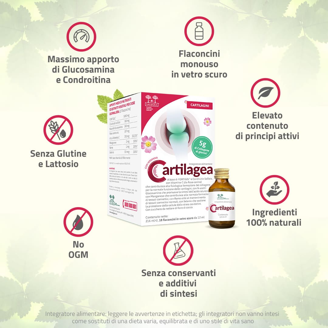 Cartilagea - Image 4