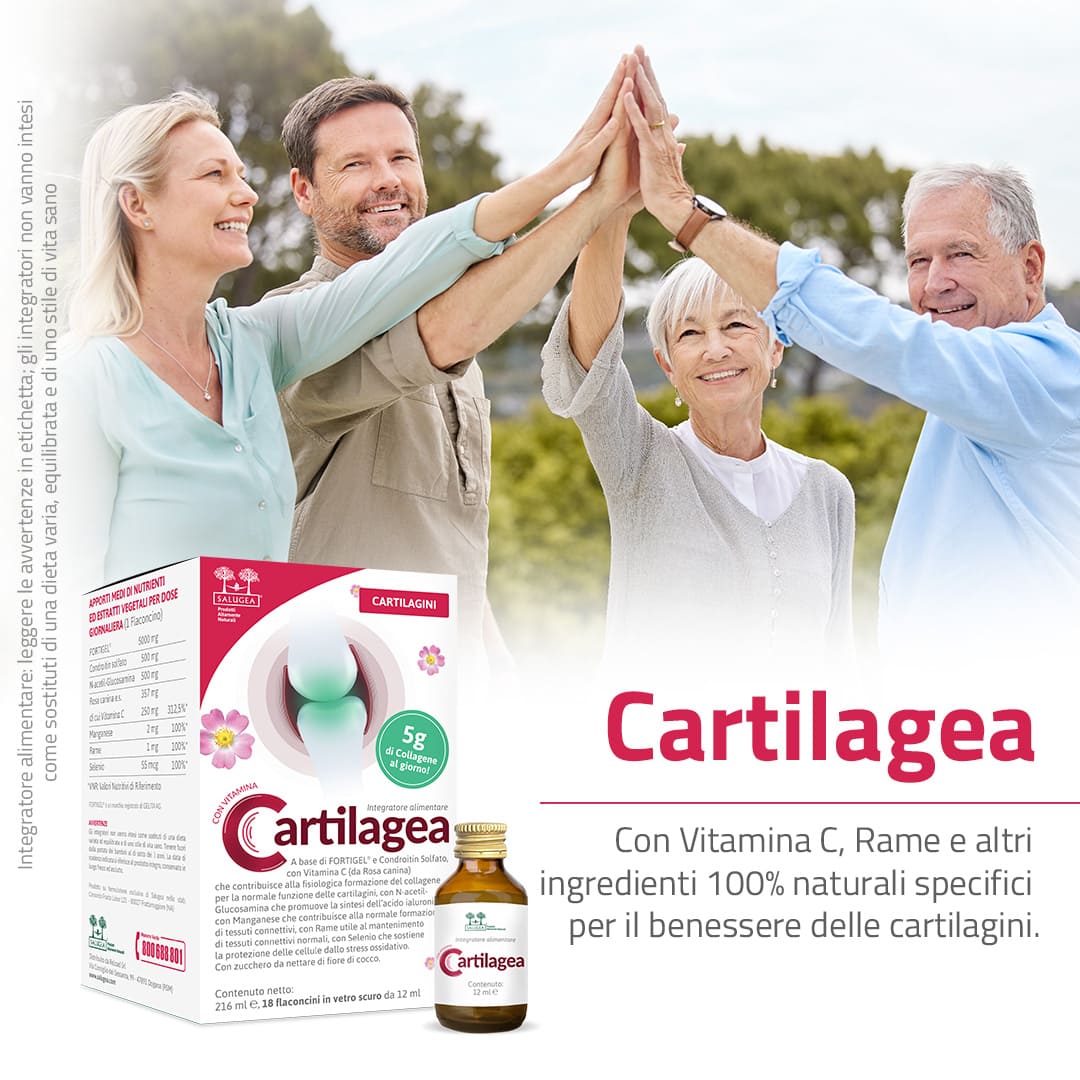 Cartilagea - Image 6