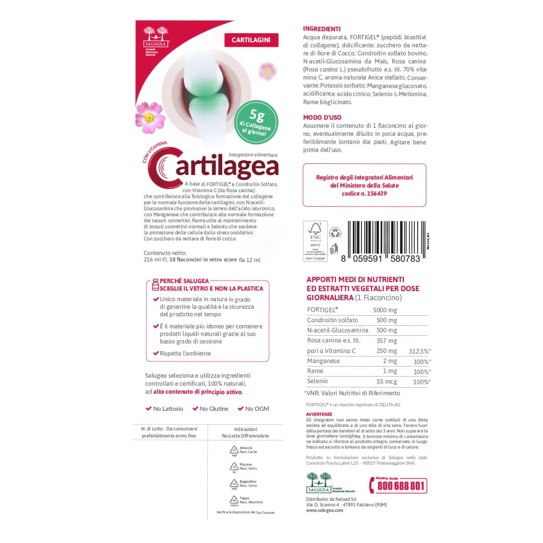 Cartilagea - Image 7