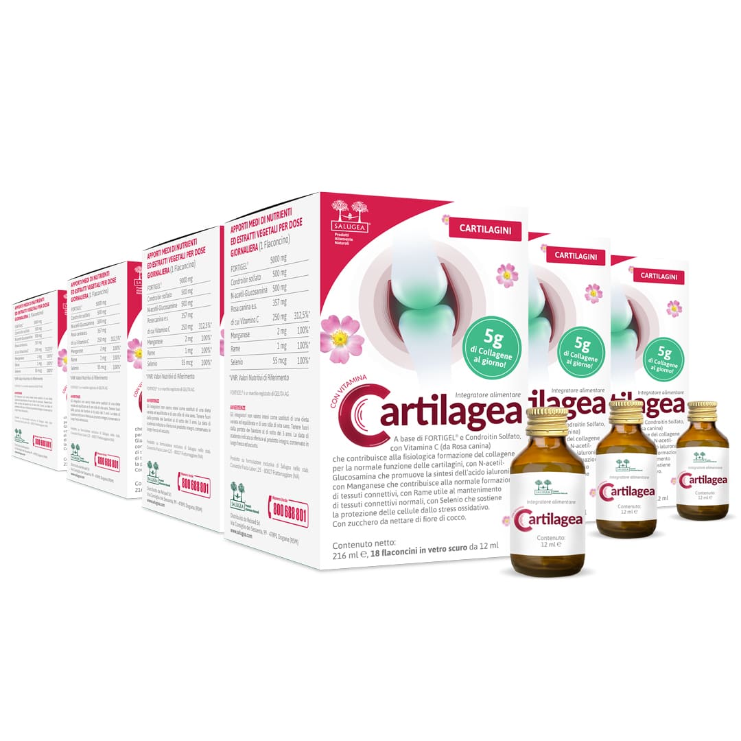 Cartilagea - Image 9