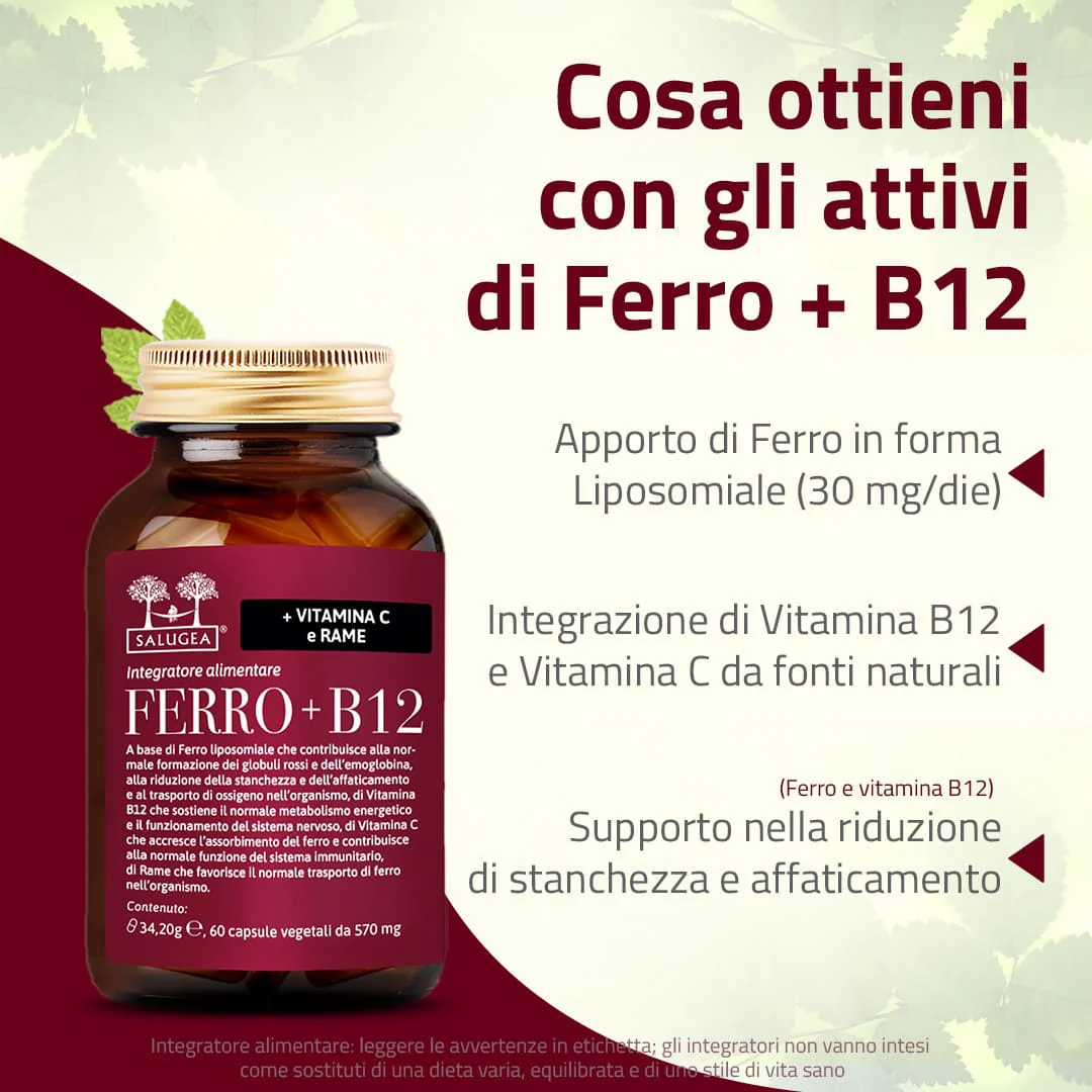 Ferro + B12 - Image 3