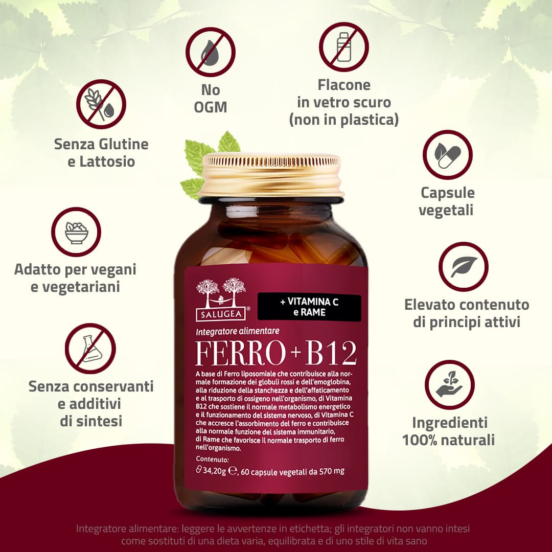 Ferro + B12 - Image 4