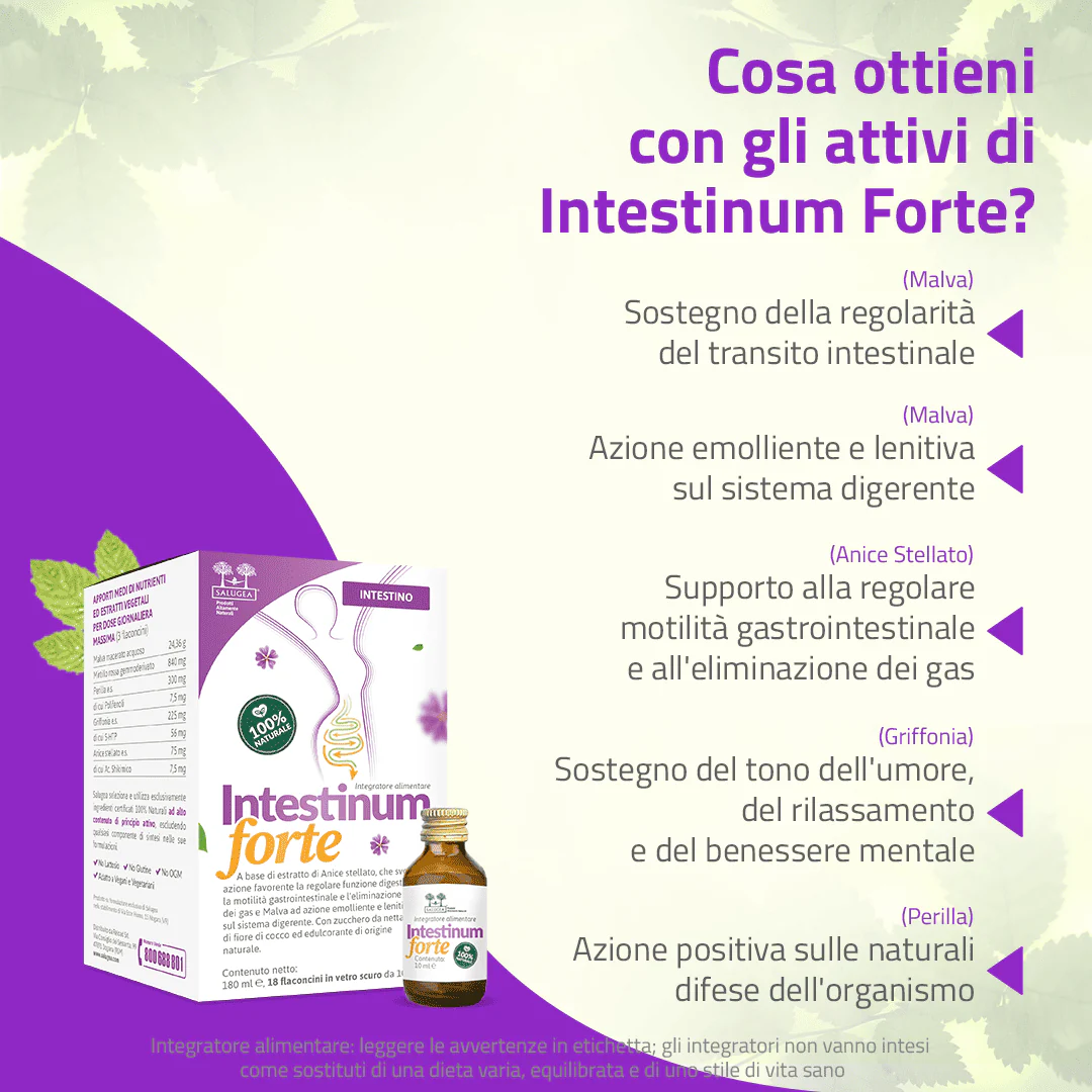 Intestinum Forte - Image 3