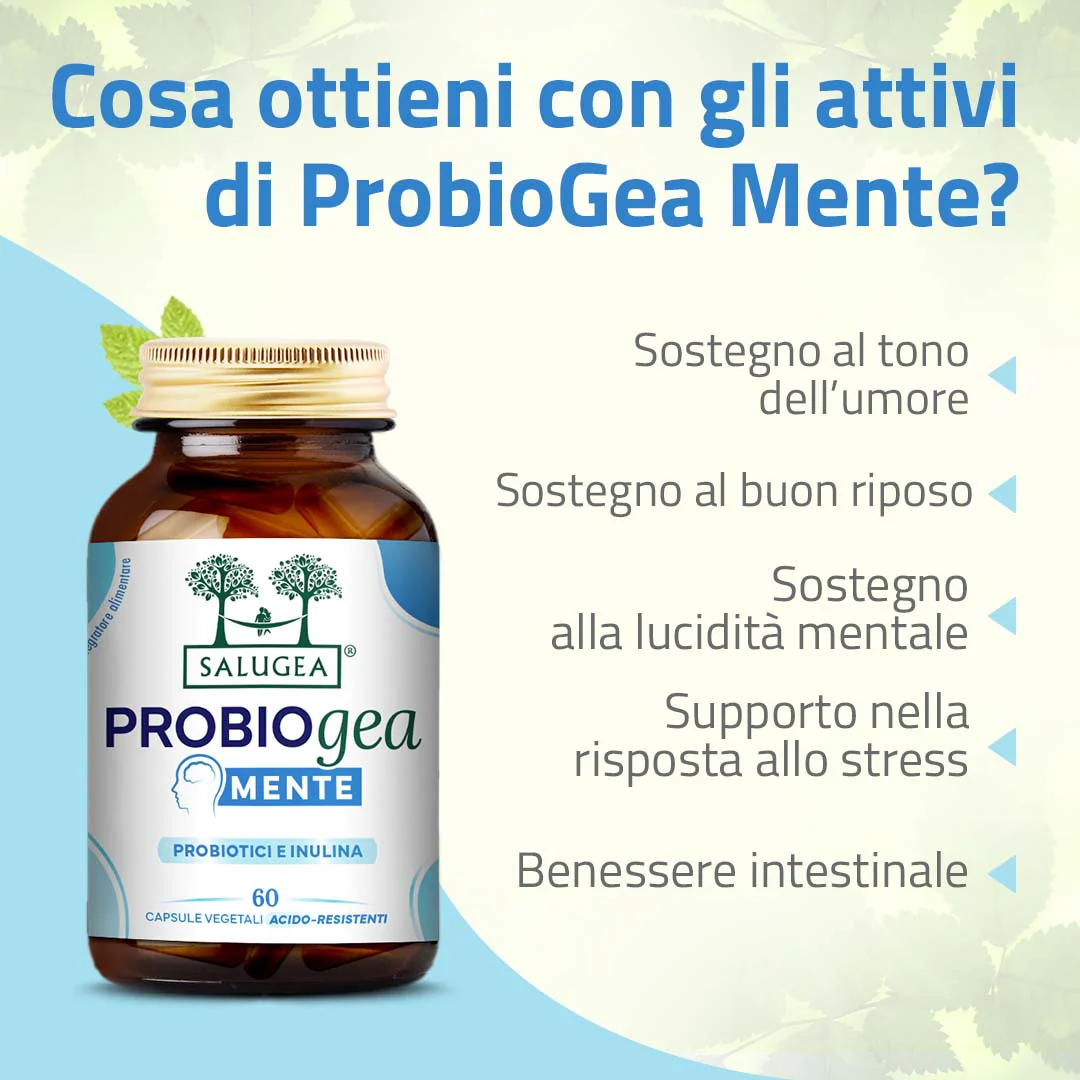 Percorso Memoria e Concentrazione - Image 4