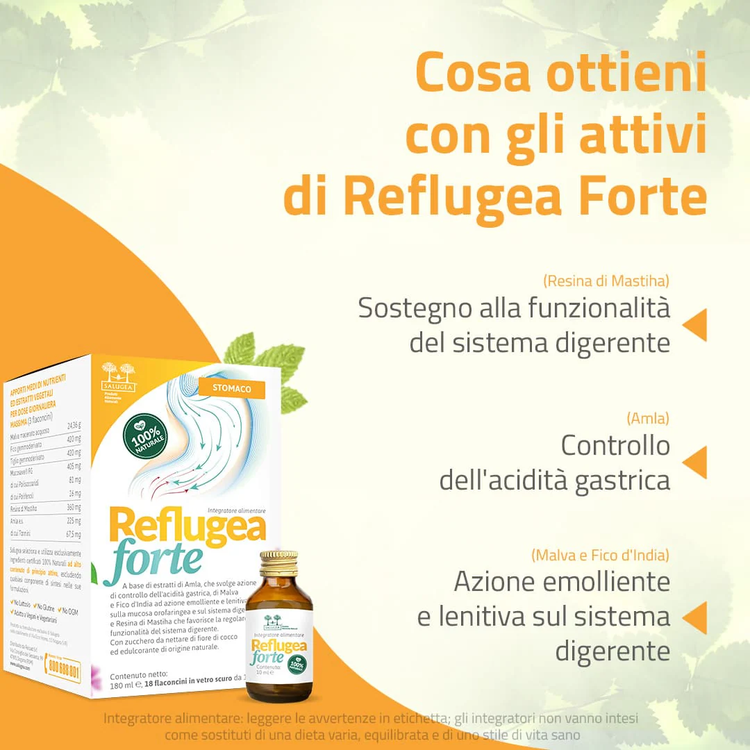 Reflugea Forte - Image 3