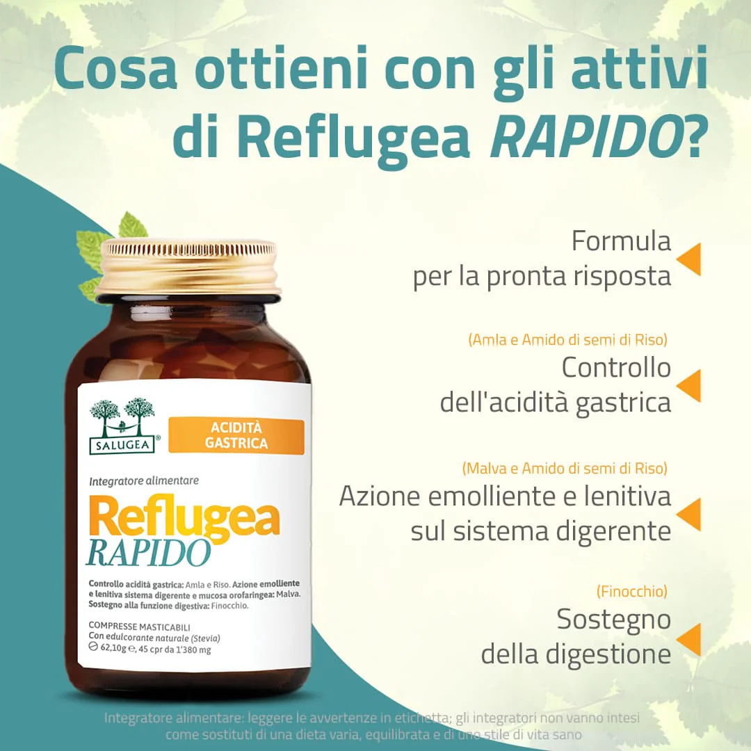 Reflugea Rapido - Image 3