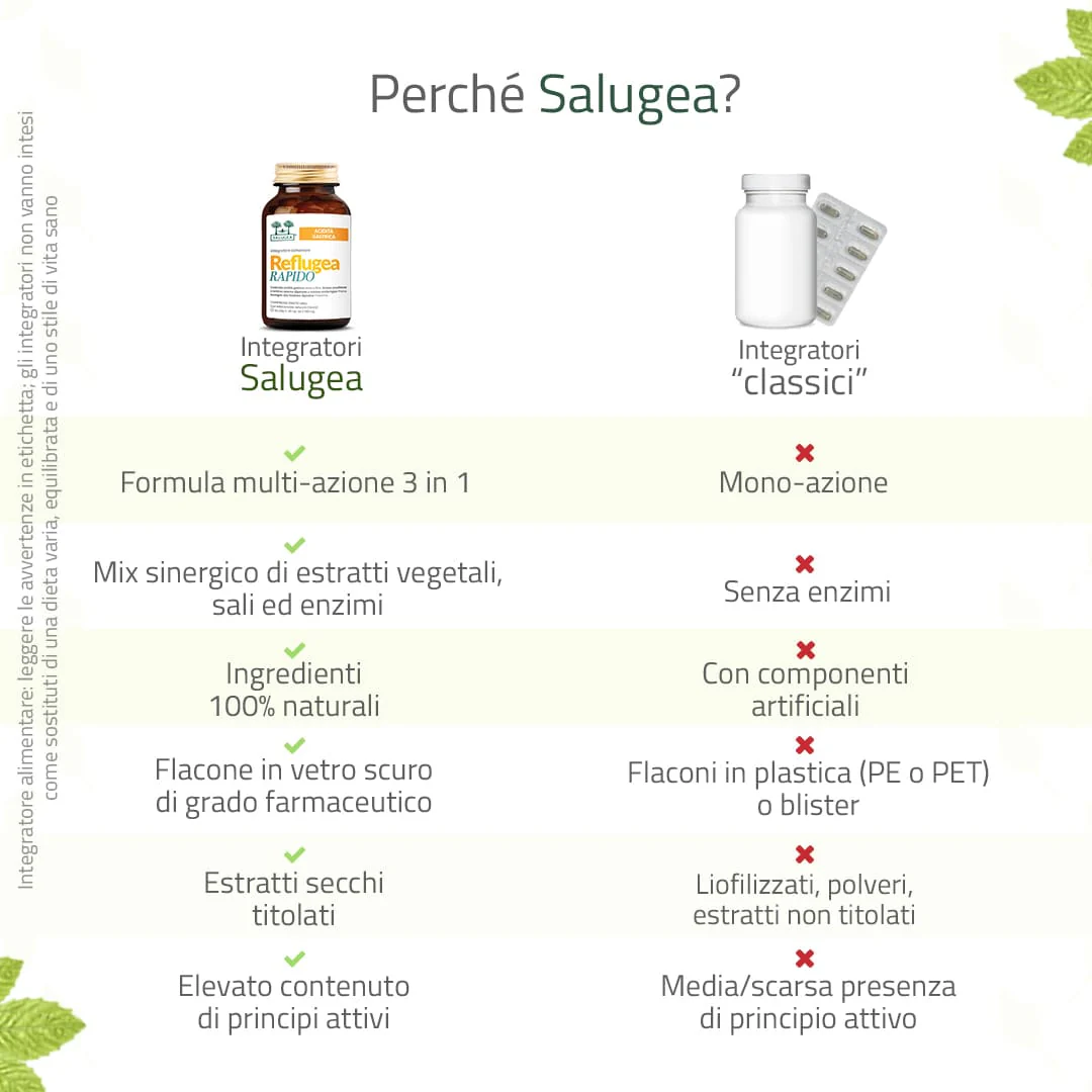 Reflugea Rapido - Image 6