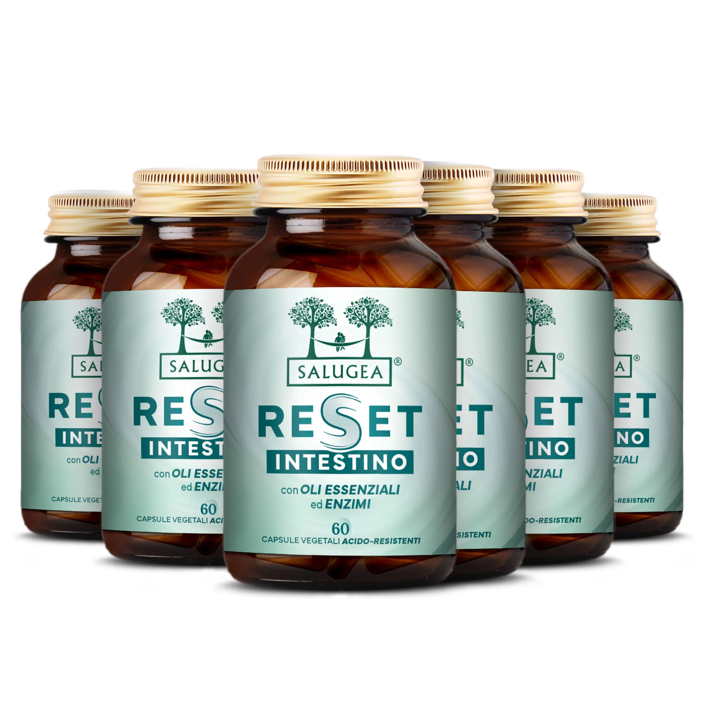 Reset Intestino - Image 10