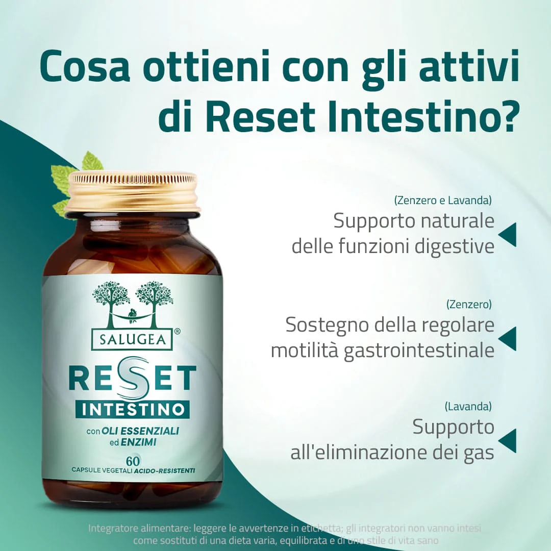 Reset Intestino - Image 3