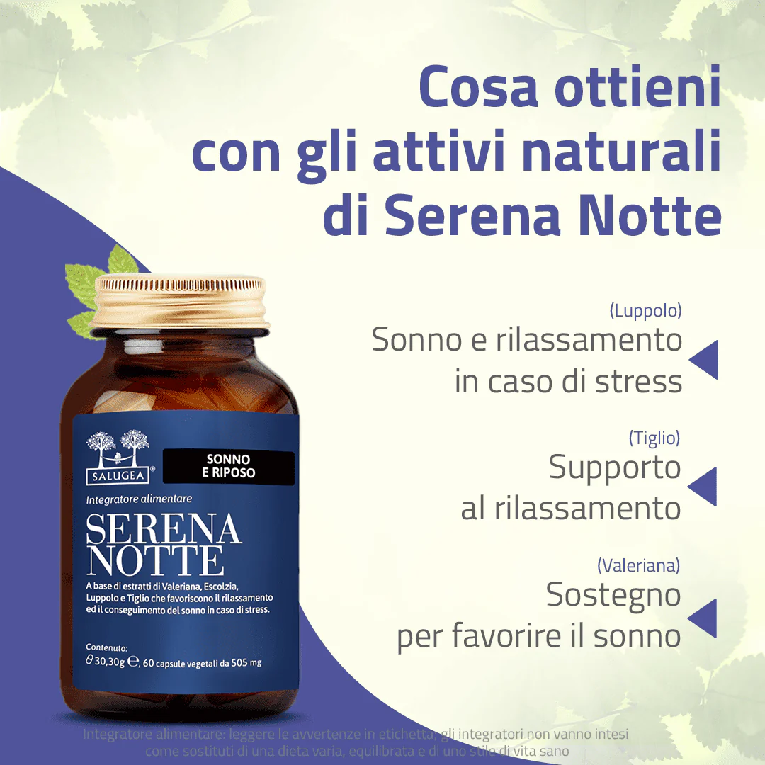 Serena Notte - Image 3