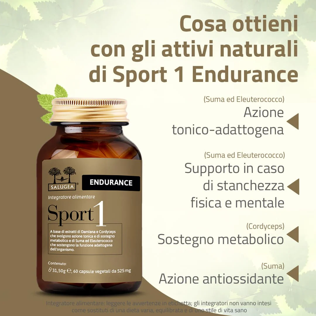 Sport 1 Endurance - Image 3