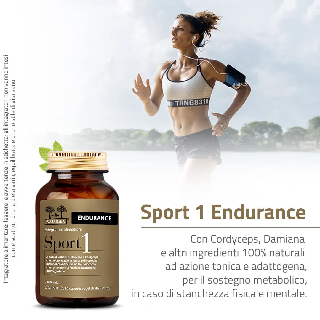 Sport 1 Endurance - Image 7