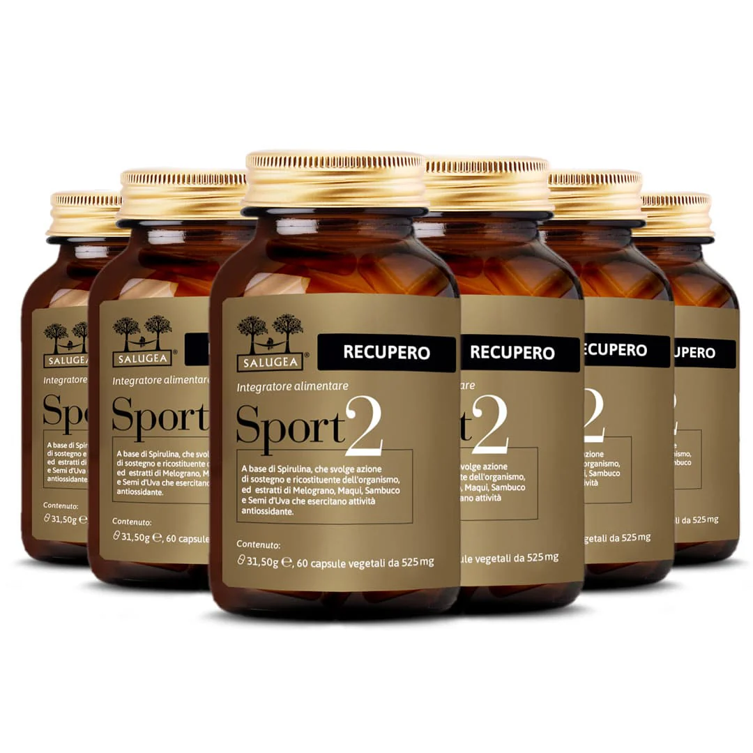 Sport 2 Recupero - Image 10