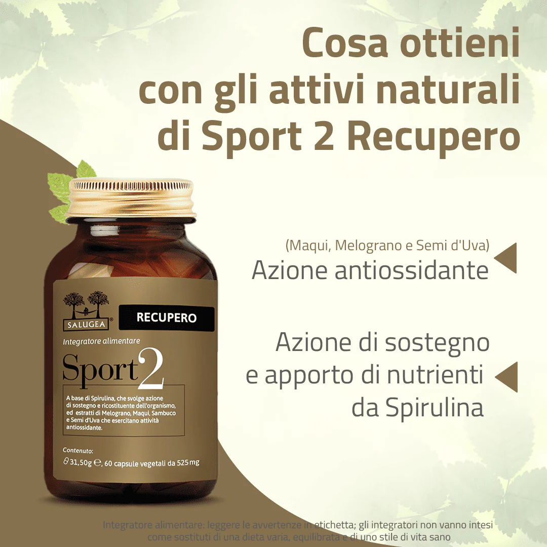Sport 2 Recupero - Image 3