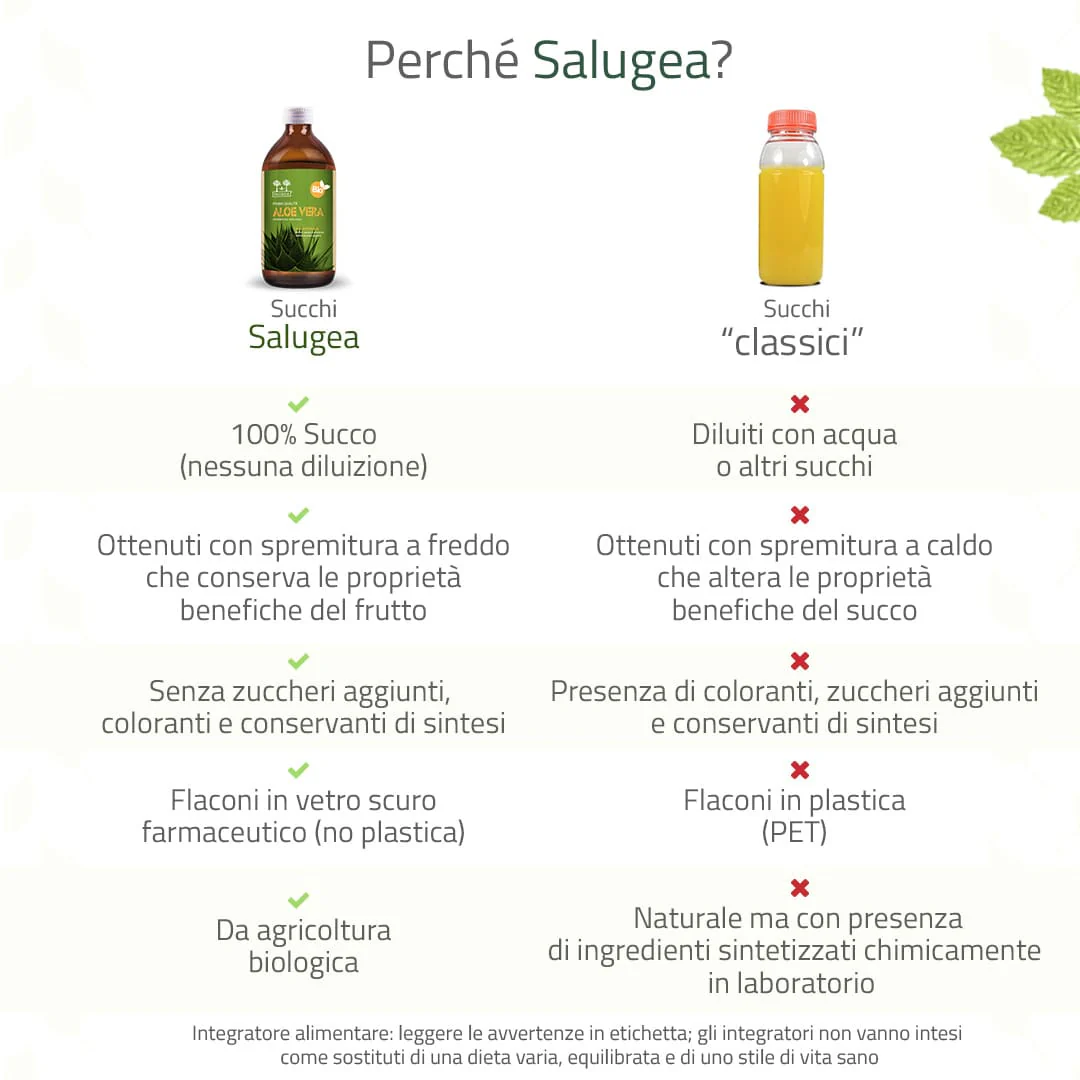 Succo di Aloe Vera Bio - Image 4