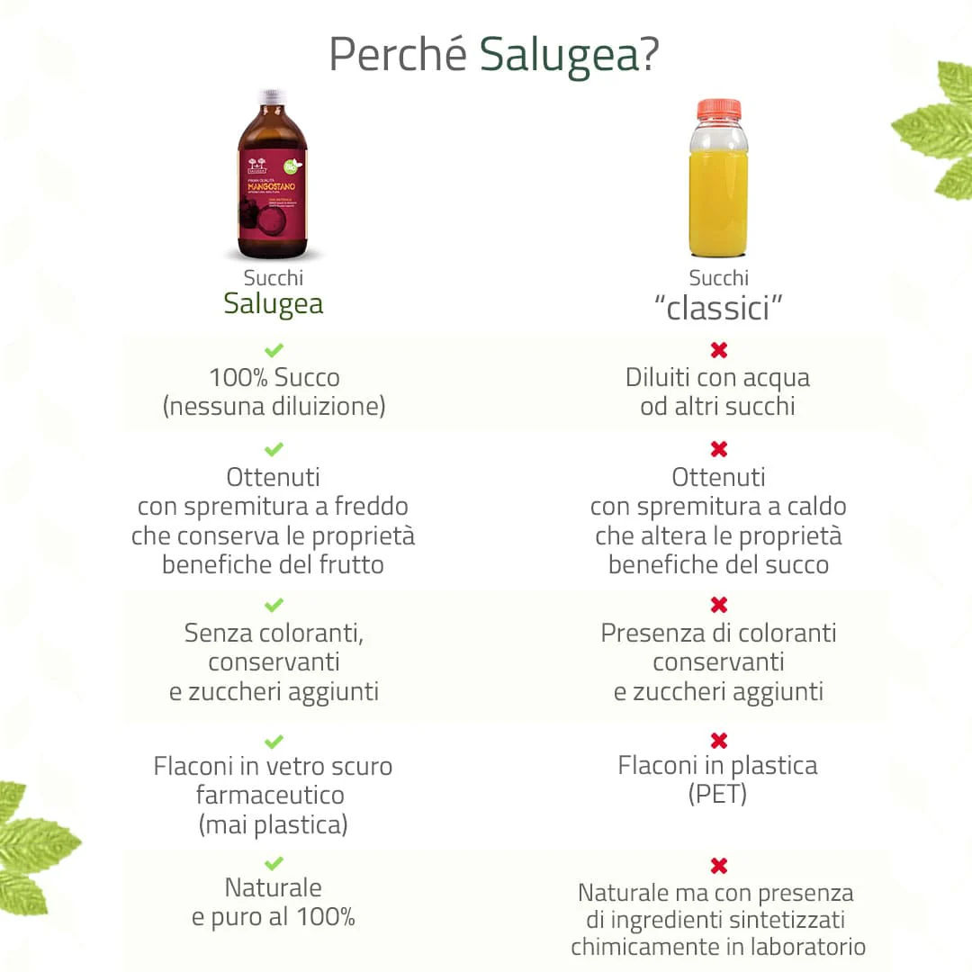 Succo di Mangostano Bio - Image 3