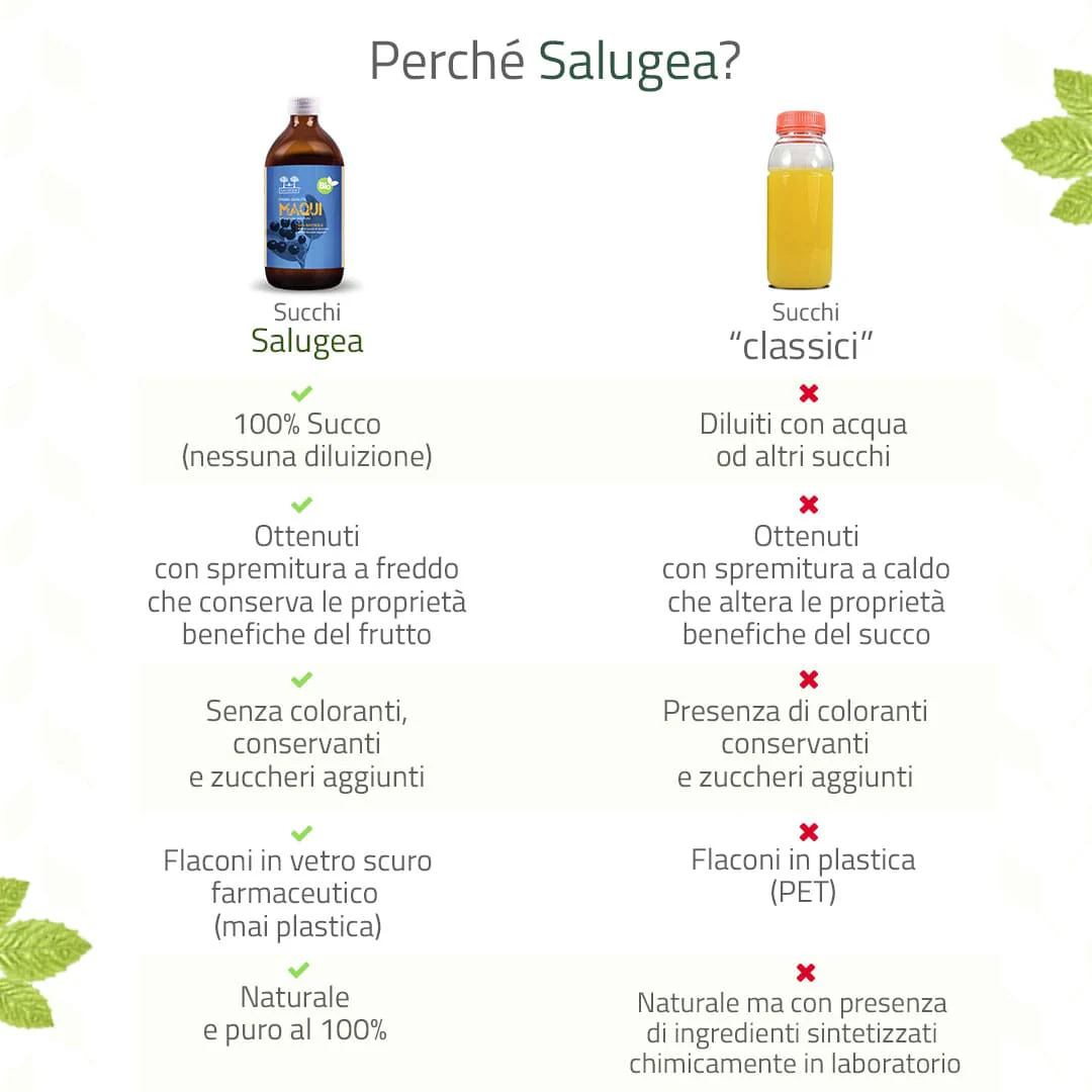 Succo di Maqui Bio - Image 4