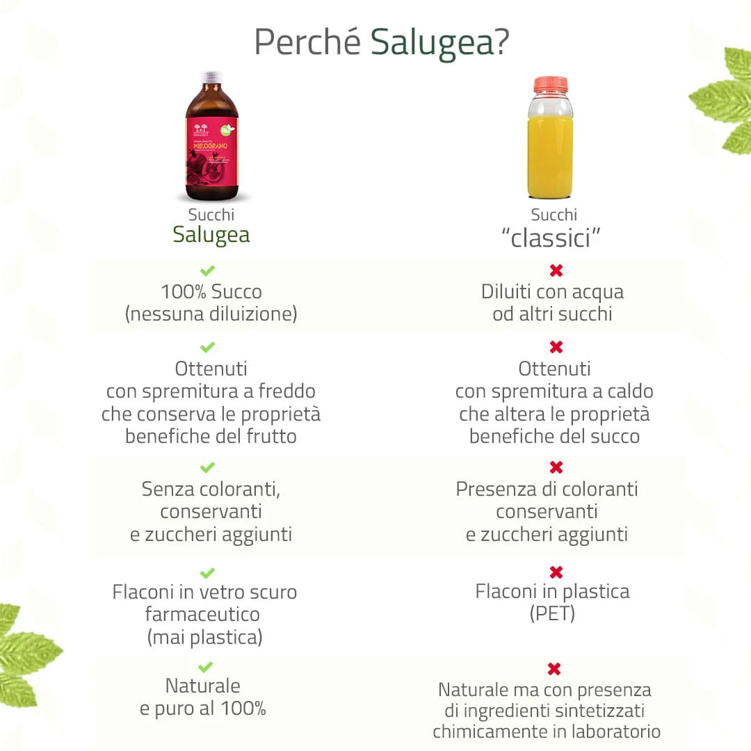 Succo di Melograno Bio - Image 3