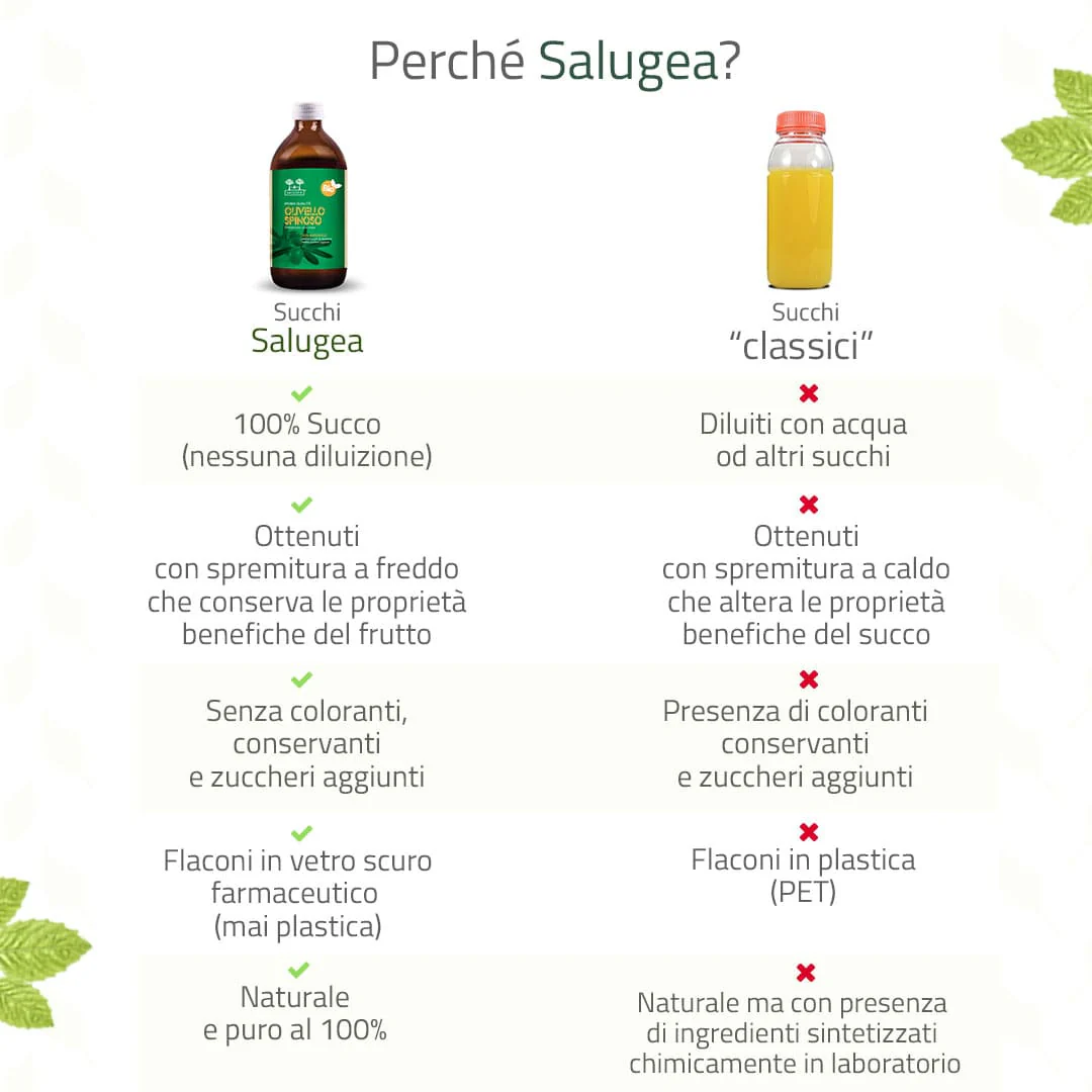 Succo di Olivello Spinoso Bio - Image 5