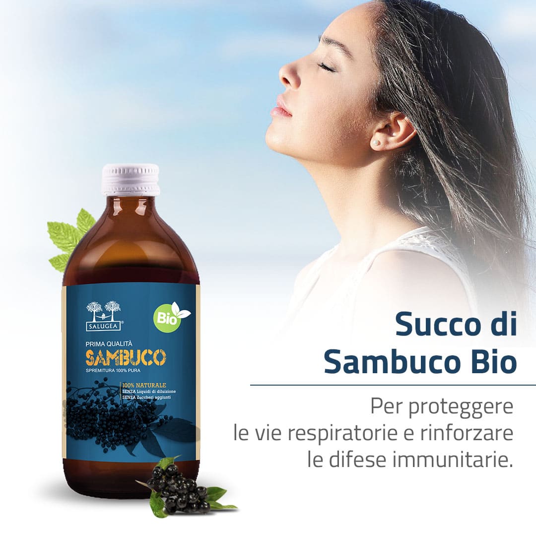 Succo di Sambuco Bio - Image 4